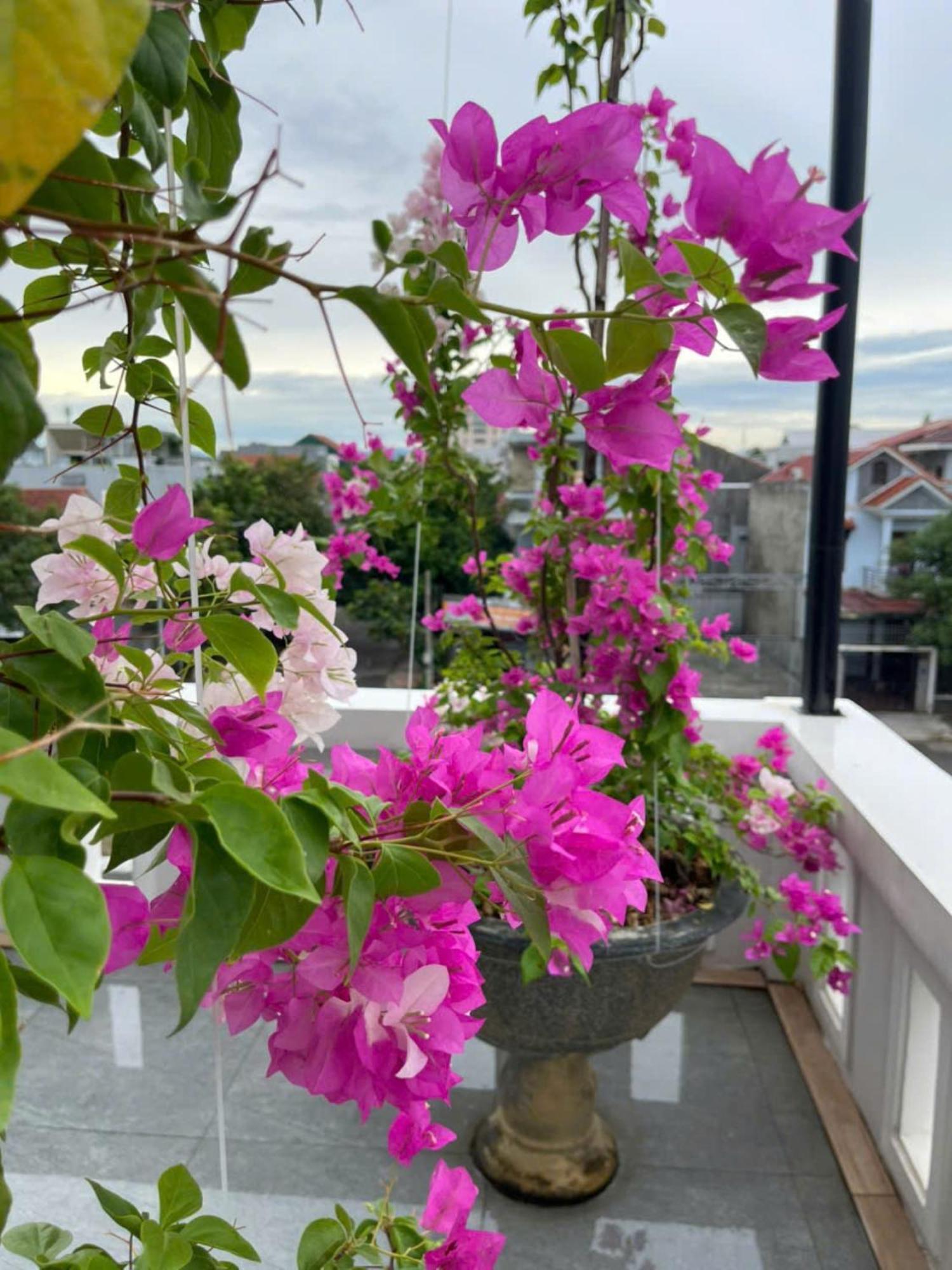 Nhat Long Homestay Hue Buitenkant foto