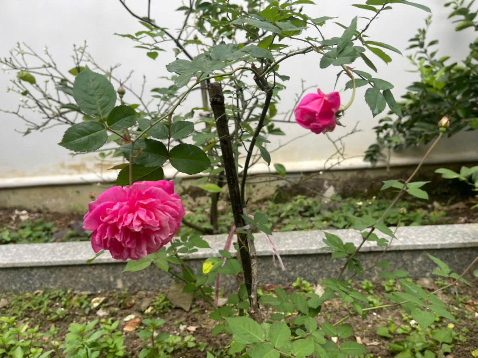 Nhat Long Homestay Hue Buitenkant foto